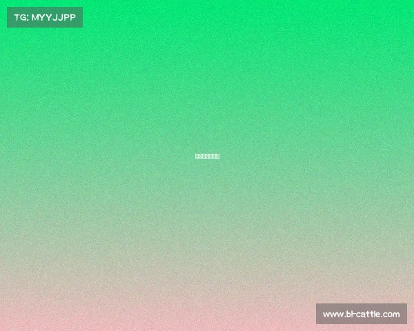 欧国联最新赛况